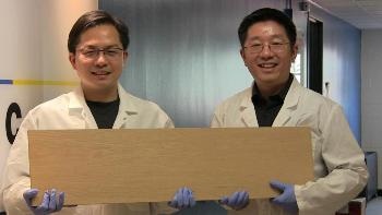New Method to Make Wood As Strong As Titanium Alloys