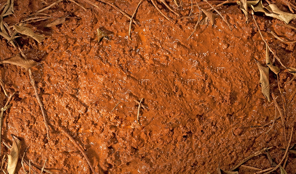 New Technologies That Can Rehabilitate Dams into Useful Land