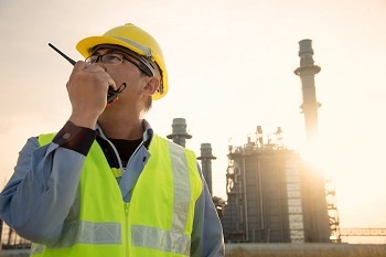 Engineering Standards and the Importance of  Professional Registration