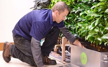 GSky® Highlights Unique Living Green Wall Maintenance Program
