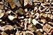 Ten Million Tonnes of New Construction Products are Wasted Every Year