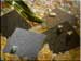DuPont Zodiaq Terra Collection Adds to Available Range of Sustainable Building Materials