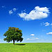 Eco-Towns Given the Go Ahead in the UK