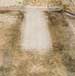 Environmentally Friendly Carpet Comes Clean After Getting Rough Treatment From a Rhino
