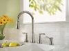 Two Handle Retail Faucet from Price Pfister