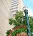 Hilton Hotels Opens Lexington/Downtown After $13mn Renovation