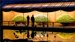 Japanese Garden Show at New York Botanical Garden