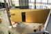 New Living Module Showcased at Swissbau Exhibition, Basel