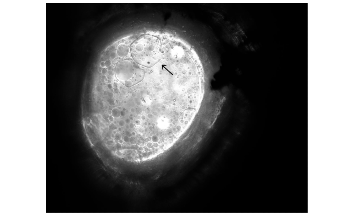 Anti-Freezing Polymer Additive Could Help Make Concrete More Durable