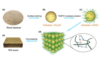 Researchers Develop High-Performance Sustainable Regenerated Isotropic Wood