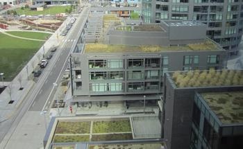 Study Explores the Benefits of Green Roofs