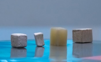 CO2-Trapping Engineered Wood Paves Way for Green Building