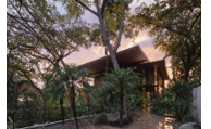 World Rainforest Day 2023: Leading Producer of Sustainable Wood Alleviates the Deforestation of Vital Tropical Rainforests