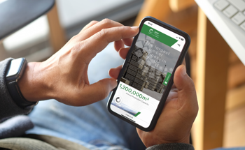 BSW Group Launches Four New Websites to Drive Digital Innovation of Timber Sector