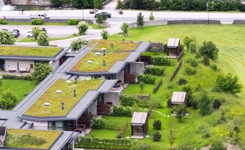 Cool vs. Green: Rooftop Solutions for Urban Energy Efficiency