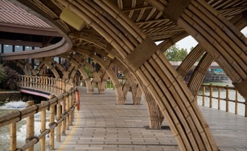 How are Drones and AI Innovating Bamboo Construction?
