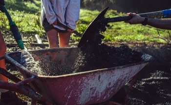 The Role of Biochar in Sustainable Construction