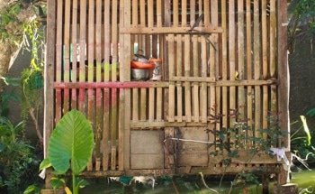Enhancing Bonding Strength in Bamboo-Based Composites