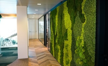 Modular Green Walls Improve Urban Building Efficiency