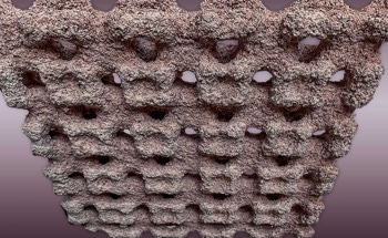 3D-Printed Wall Covering for Indoor Humidity