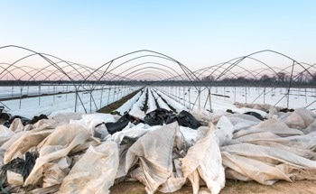 Using Agricultural Film Waste as a Binder in Construction Composites