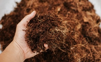 Could Vegetable Fibers in Cement Be the Solution to Stronger, Greener Construction?