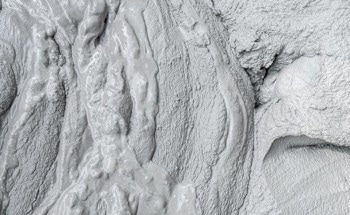 Freeze-Dried Bacteria Could Simplify Biocement Production for Construction