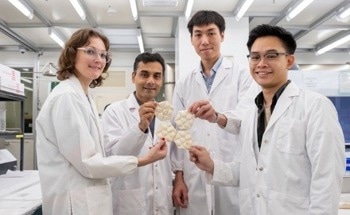NTU Singapore Scientists Create ‘fungi tiles’ With Elephant Skin Texture to Cool Buildings