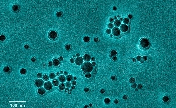 Engineered Biomaterial with Living Cells Offers Sustainable Construction Potential