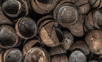 Agricultural Waste as Promising Alternative Aggregate in Concrete
