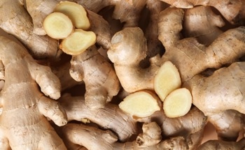 Ginger in Cement? Scientists Say it's the Key to Mold-Free Walls