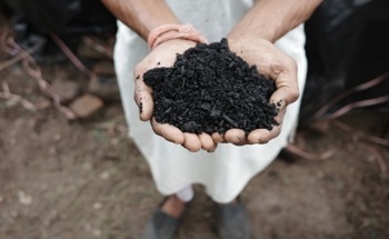 Researchers Explore Biochar from Agricultural Waste as a Sustainable Cement Alternative in UHPC