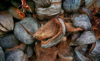 New Study Highlights How Coconut Fiber, Wheat Straw Ash, and Silica Fume Improve Recycled Aggregate Concrete