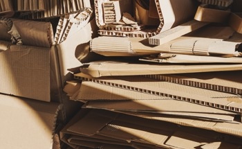 Can Cardboard Replace Concrete? New Study Says it’s Closer Than You Think