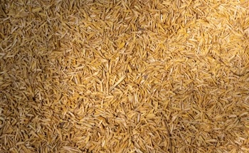 Researchers Develop Low-Carbon Concrete Mix from Agro-Industrial Waste