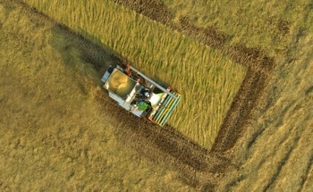 Researchers Develop High-Strength Construction Materials From Industrial and Agricultural Waste