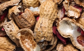 Groundnut Shell Waste Boosts Concrete Strength and Blast Resistance