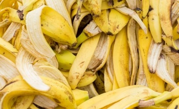 Turning Agricultural By-Products Into Building Materials for 3D Printing