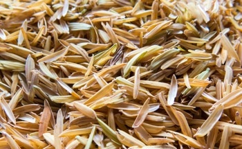 Recycling Rice Husks: ML Models Pinpoint Best Blend for Stronger Concrete