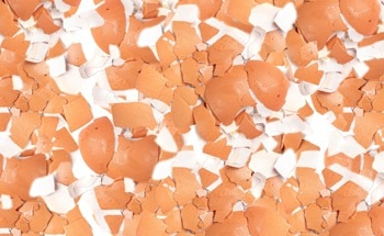 The Future of Strong Concrete Might Be Sitting in Your Trash Bin