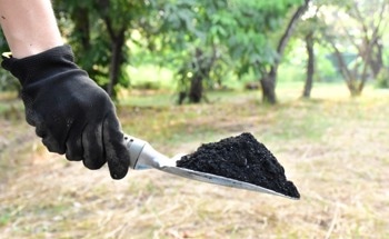 Study Explores Biochar as a Carbon Capture Additive for Cement Composites