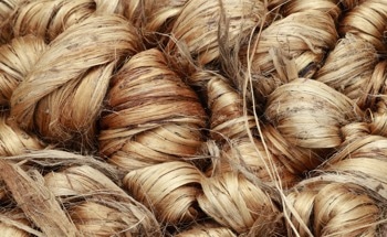 Engineers Explore Greener Concrete Without Sacrificing Performance