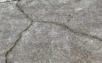 Machine Learning Predicts the Strength of Carbonated Recycled Concrete