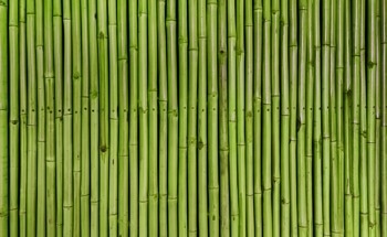 New Manual Establishes Design Standards for Bamboo Construction