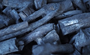 Biochar-Enhanced Substrates Unlock Higher Insulation Performance in Living Walls