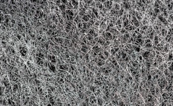 A Plant-Powered Breakthrough Could Shrink Concrete’s Carbon Footprint