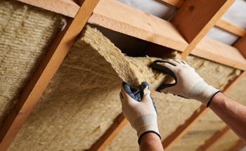 Review of 164 Insulation Products Exposes Gaps in Mold Resistance Reporting