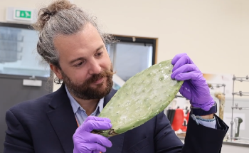 Prickly Pears Show Promise as the Building Materials of Tomorrow