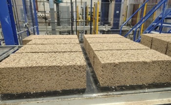Circular Hemp Solutions Reinvent Europe’s Construction Industry