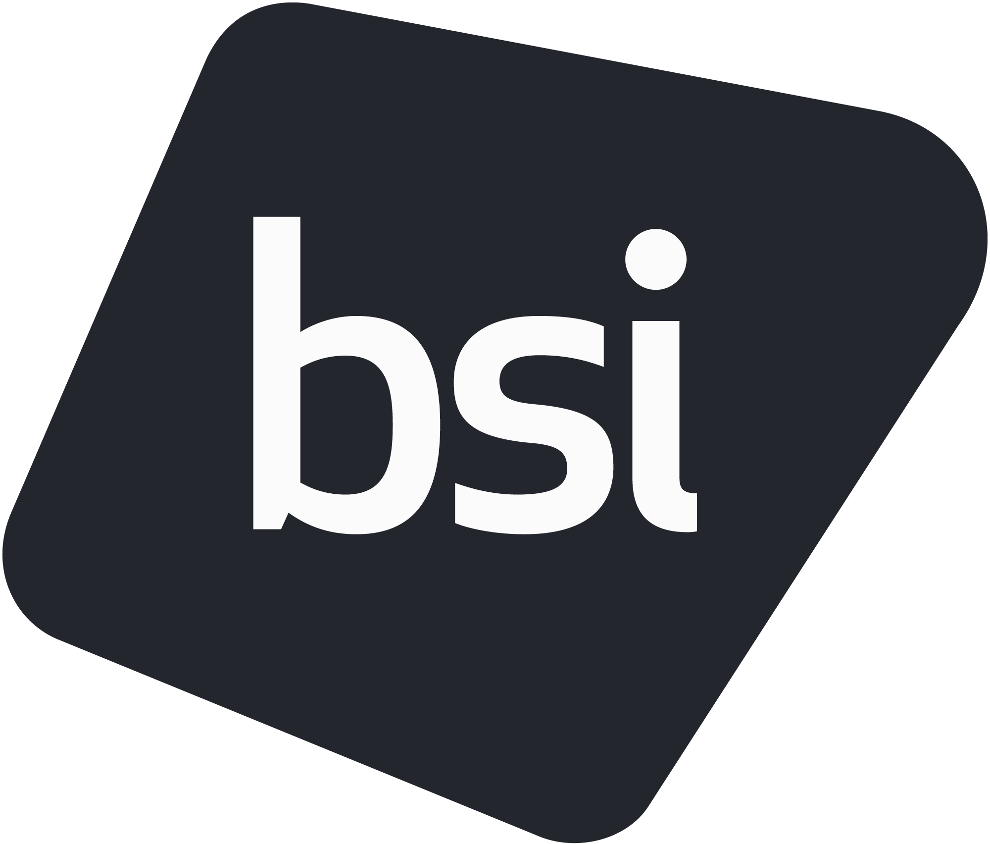 The British Standards Institution